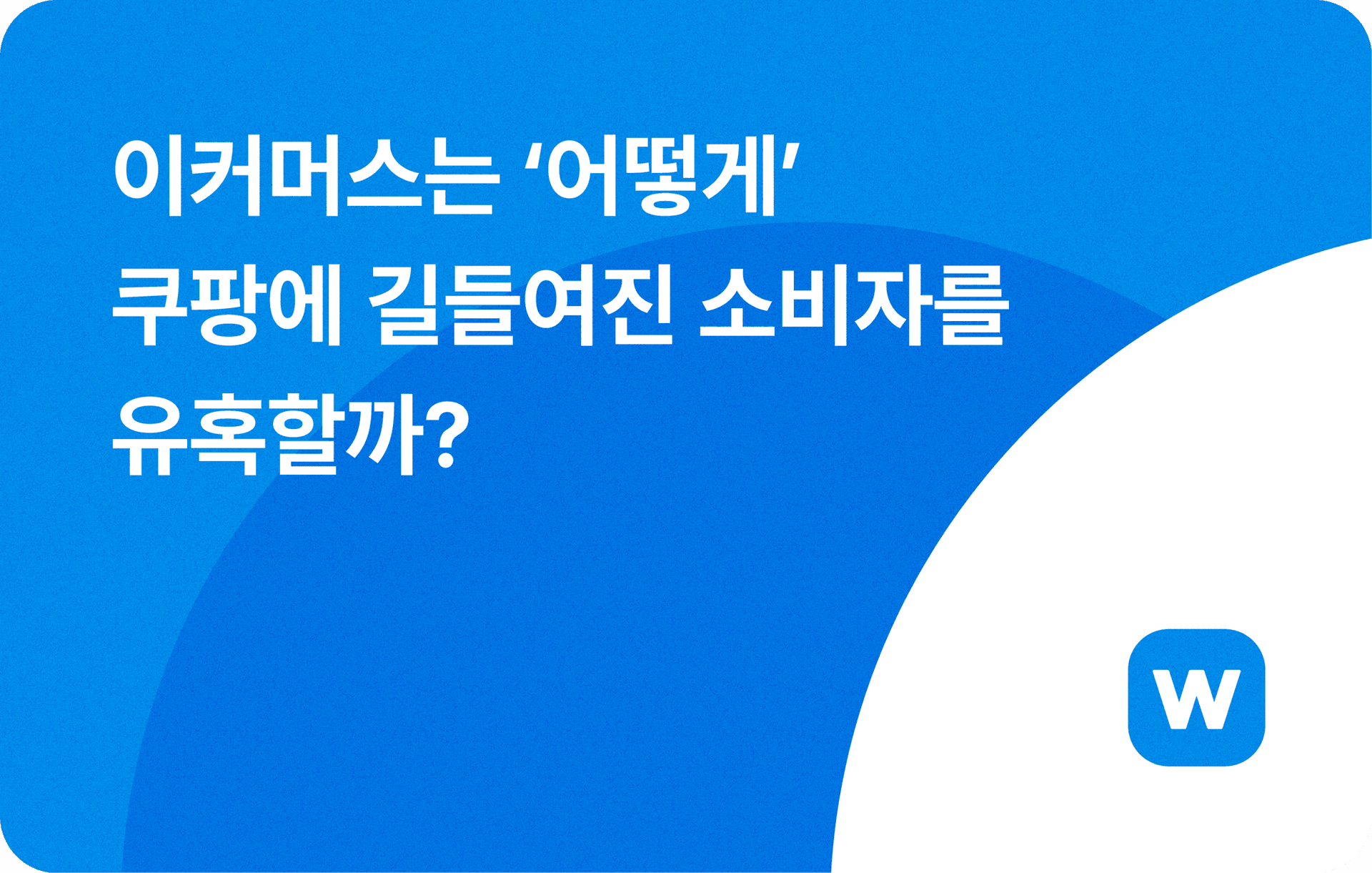 1월 2주차 뉴스레터